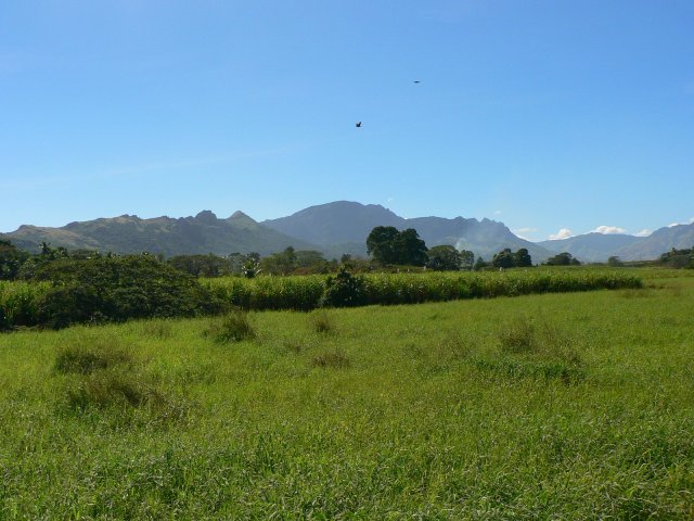 34- Paysage entre Vuda et Nadi 